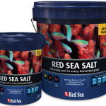 Red-Sea-Salt