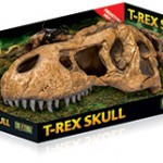 T-Rex-Skull