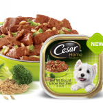 cesar beef and vege