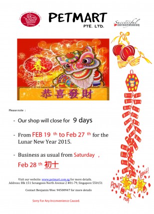Chinese New Year 2014 copy 2